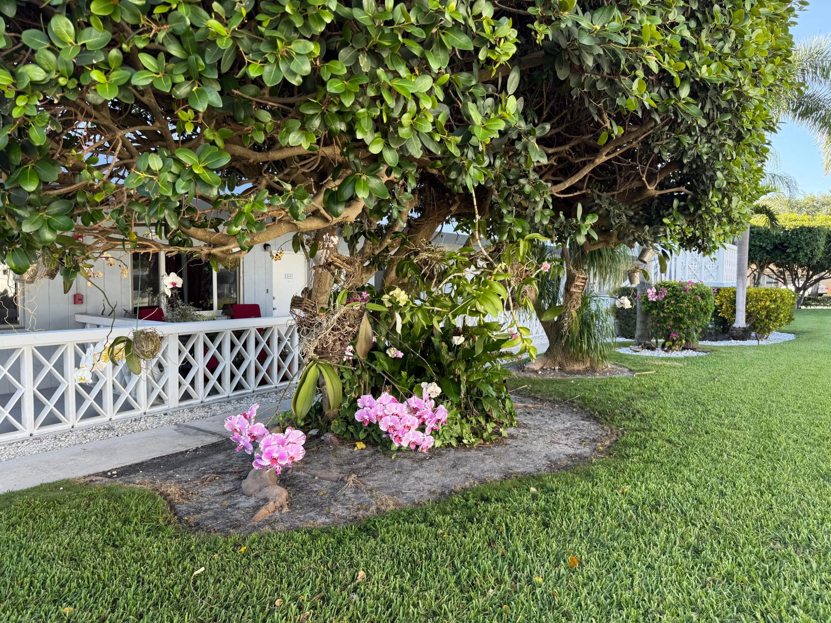 Manicured and serene landscaping