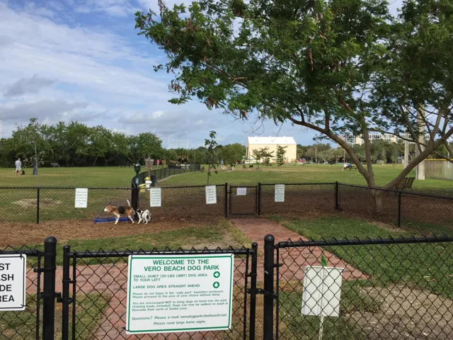 99 dog park