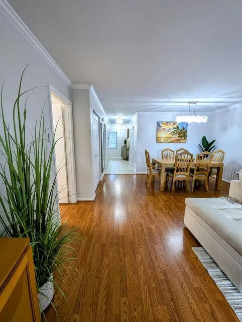 GREAT ENTERTAINING AREA
