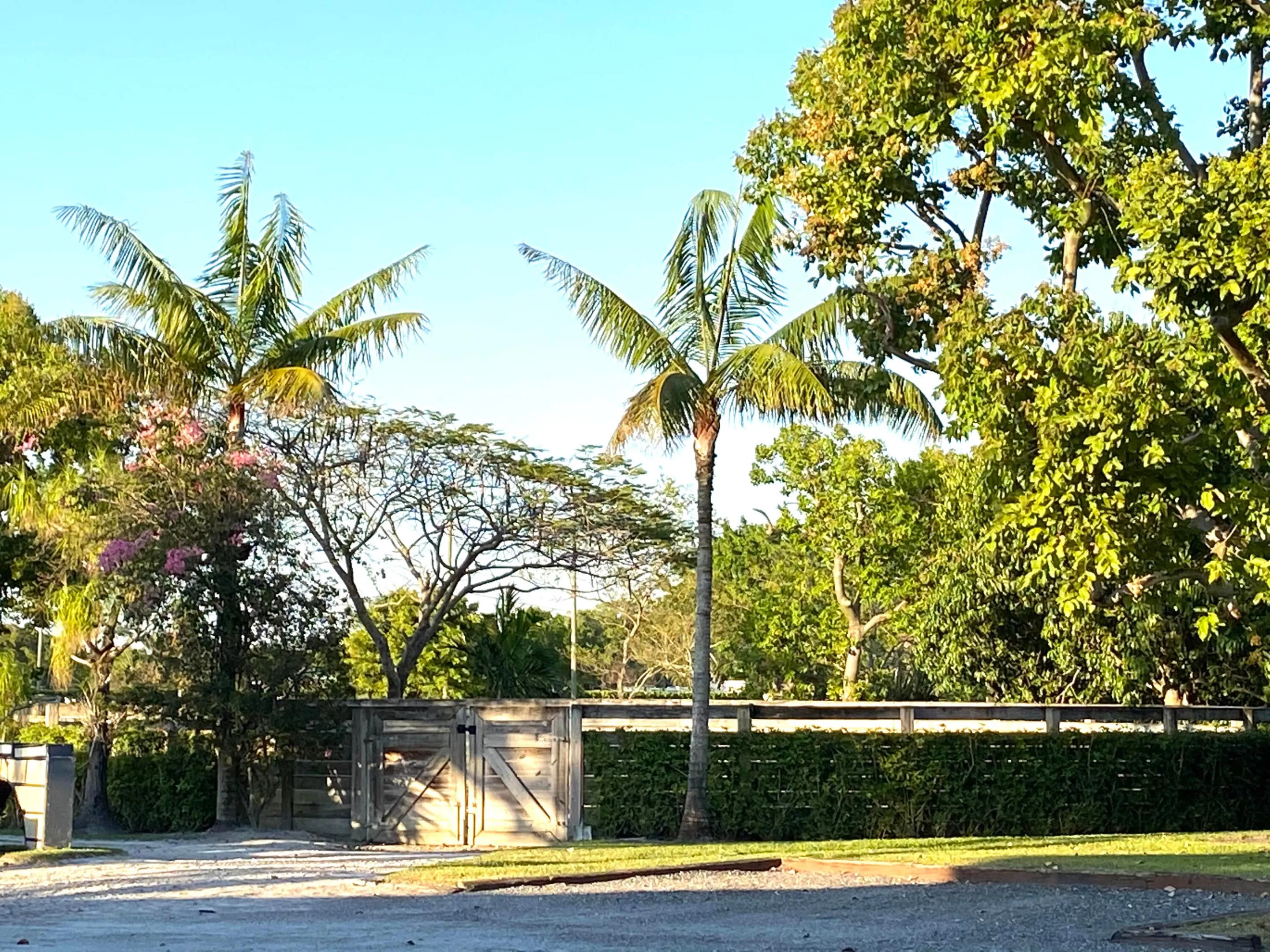 Property photo 19