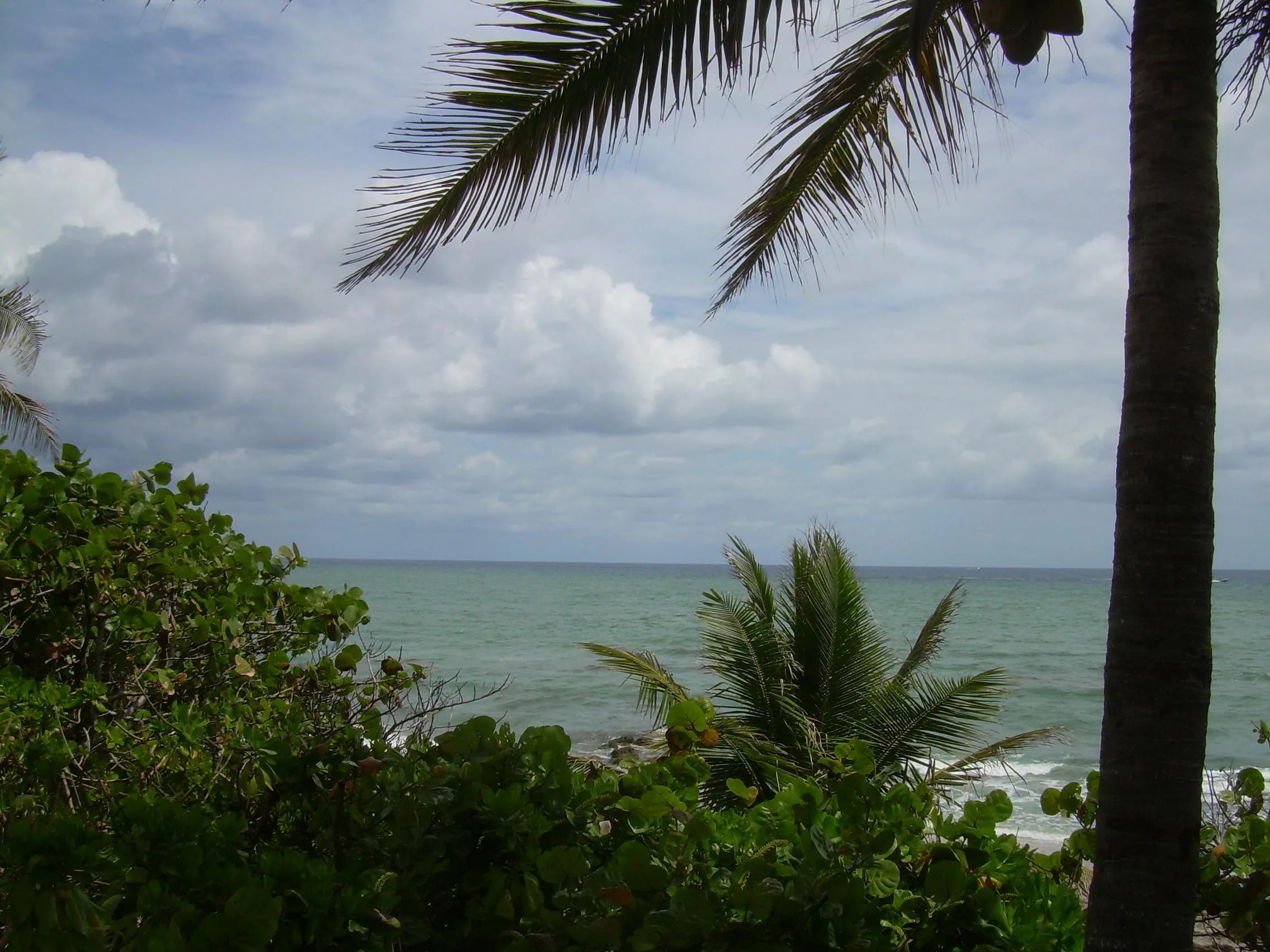Red Reef Park