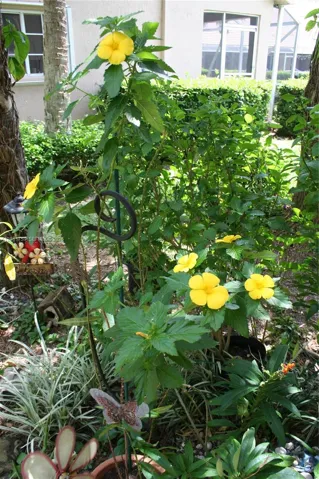 Photo 26