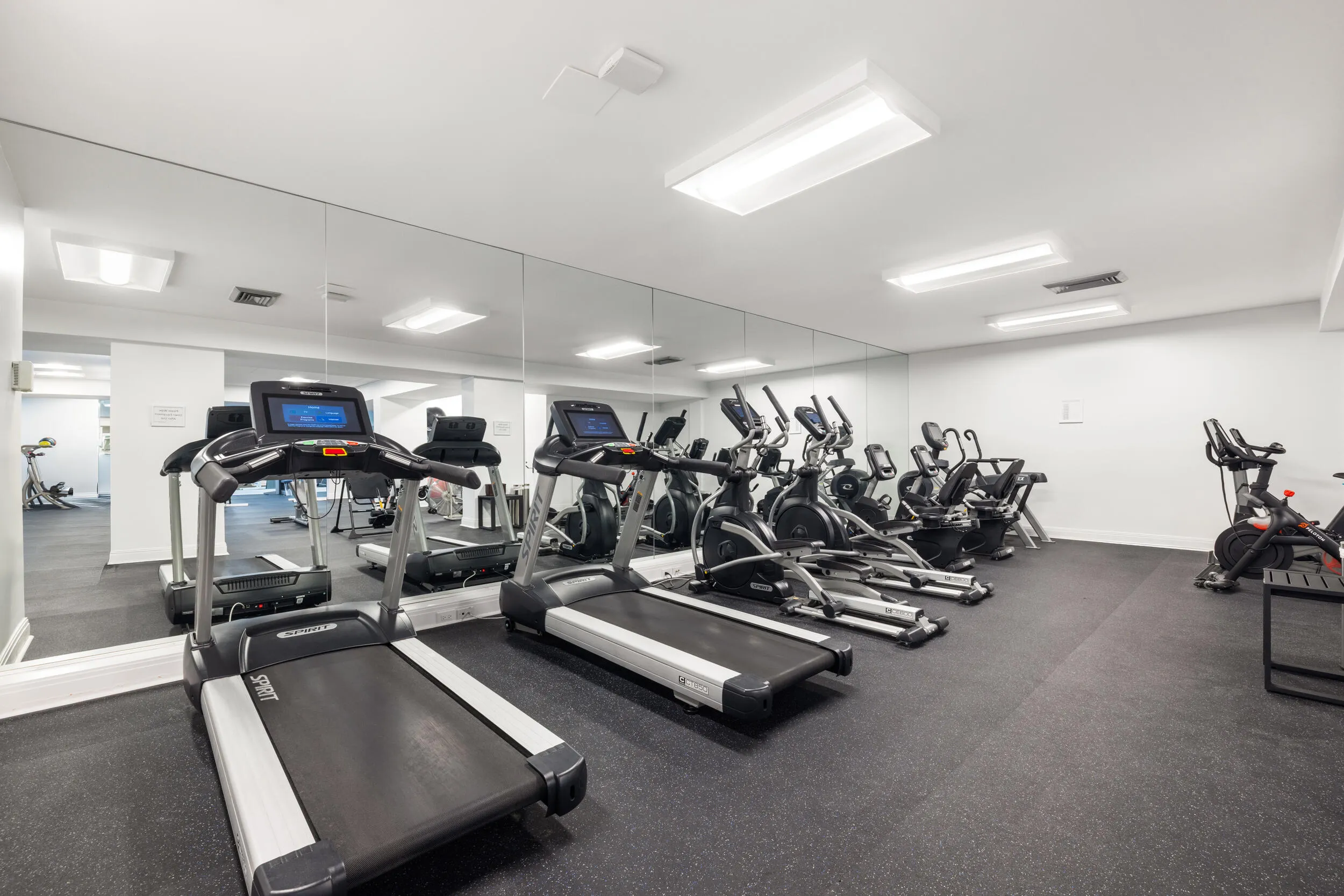 gym