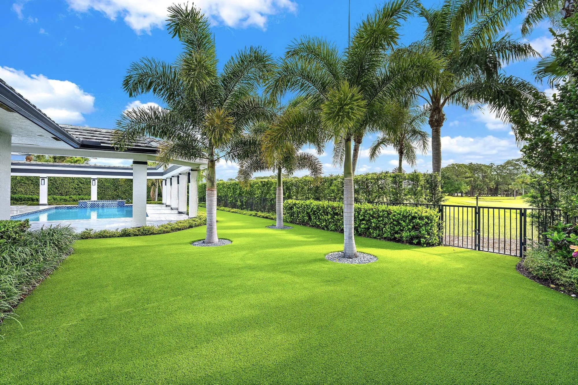 Backyard right