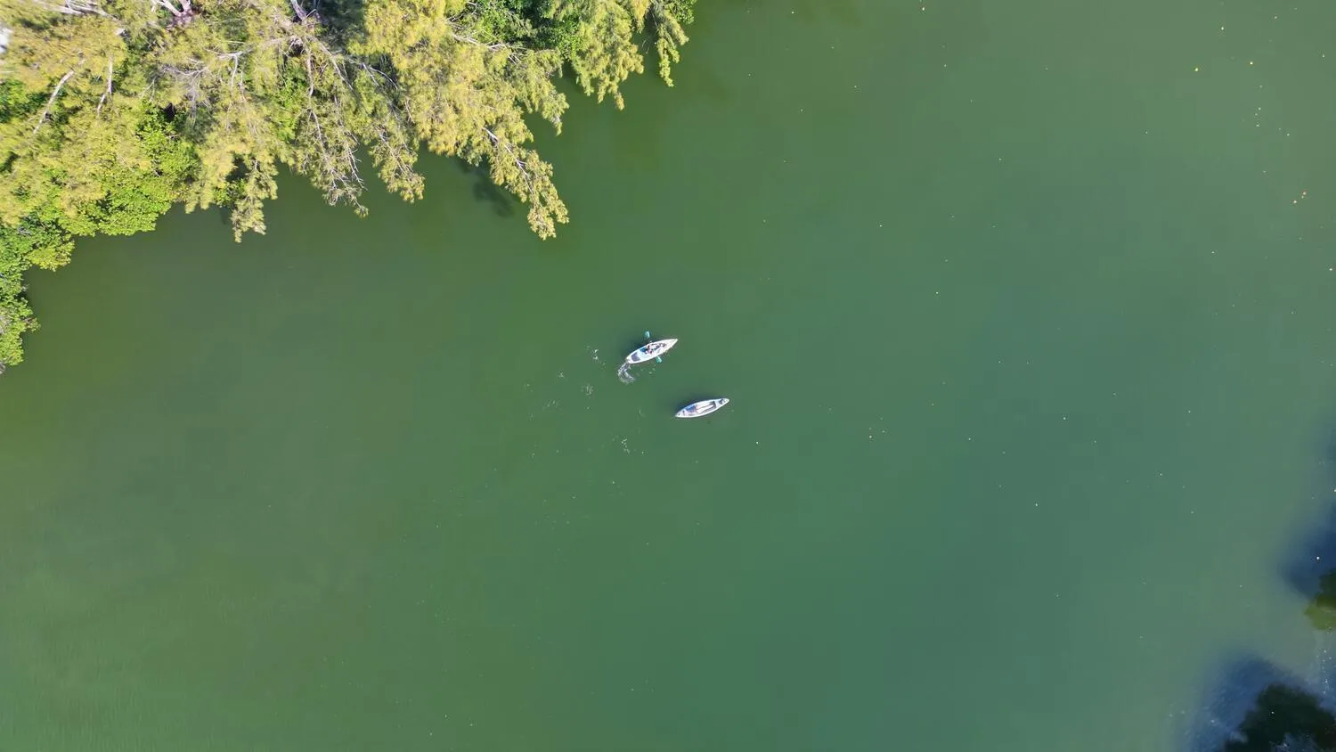 Kayaking in Estuary
