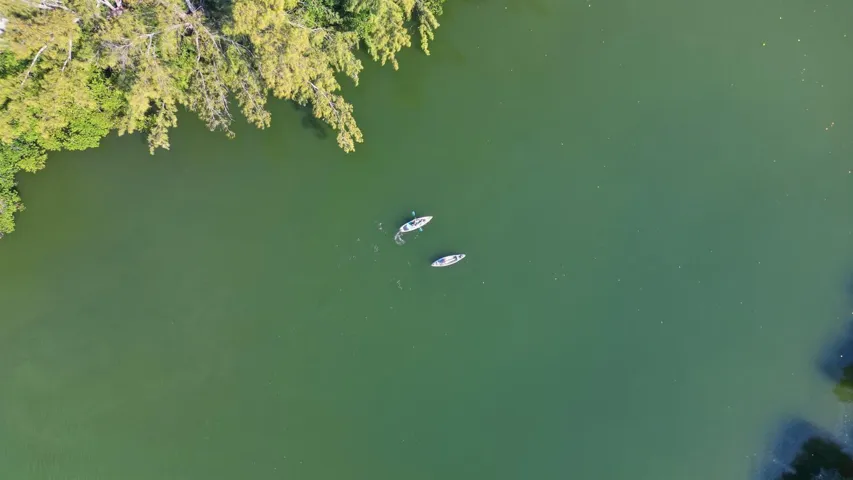 Kayaking in Estuary