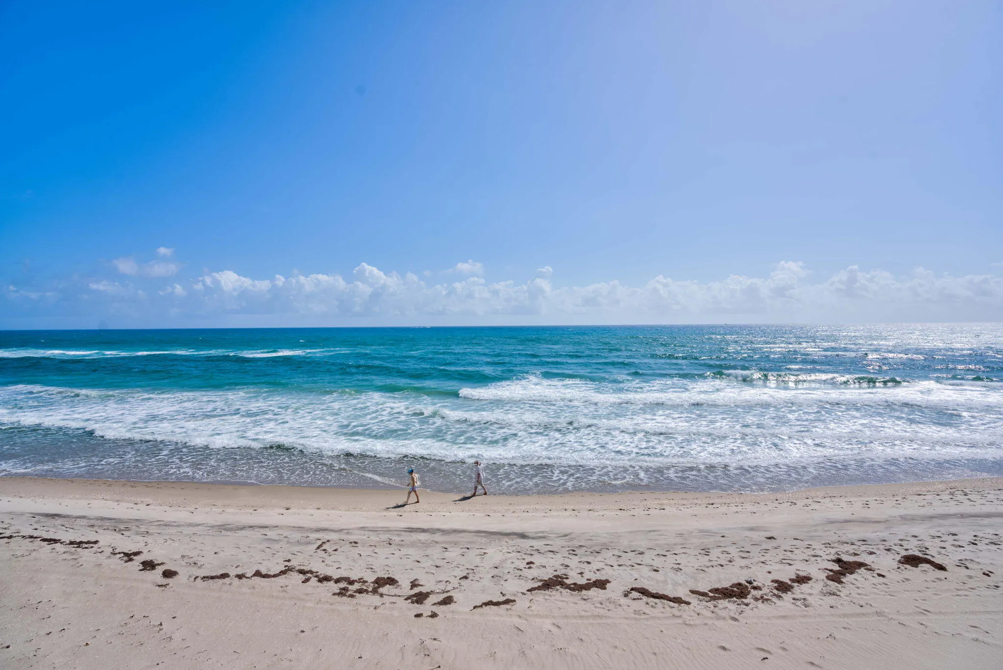 Ocean