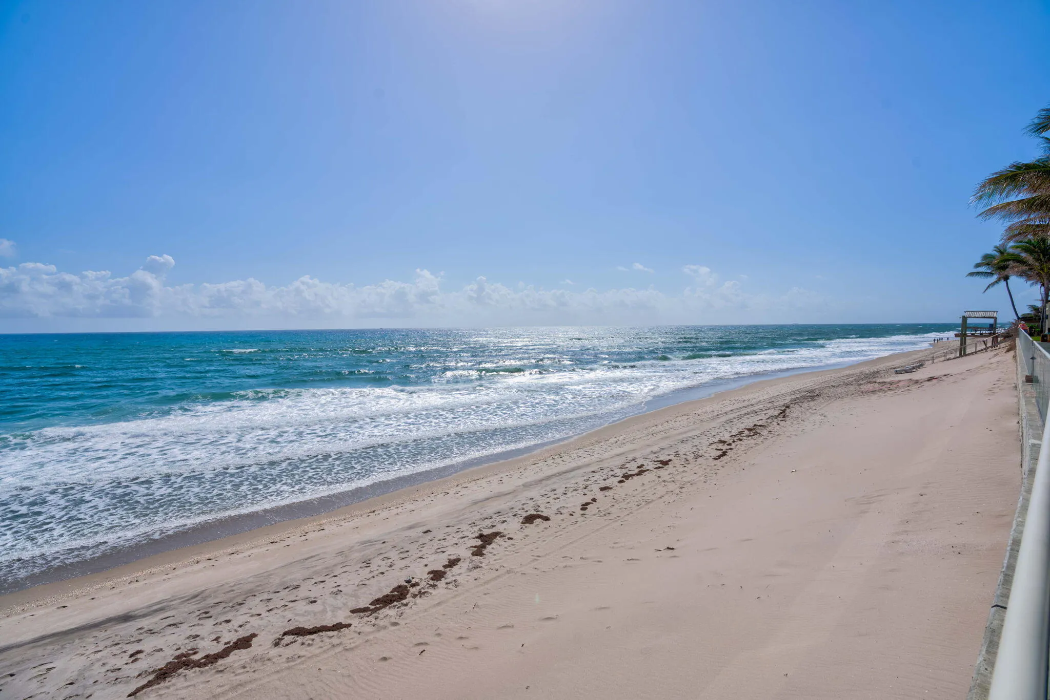 Ocean