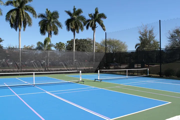 Pickball up close