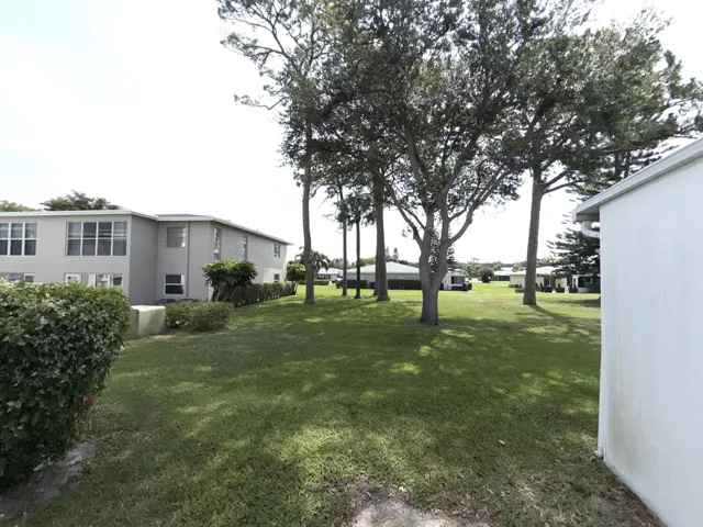 View into backyard