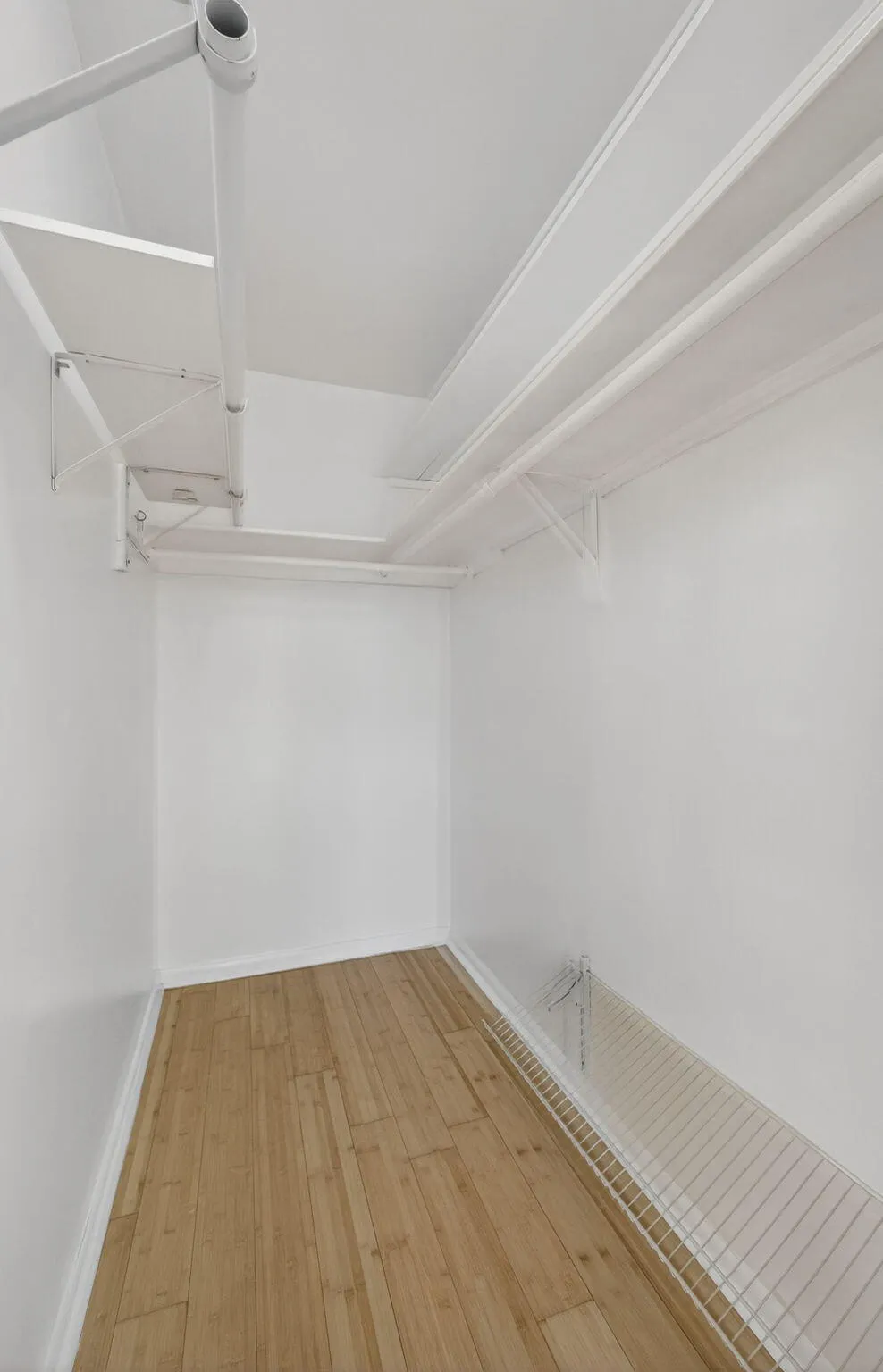32-web-or-mls-BS1A5502