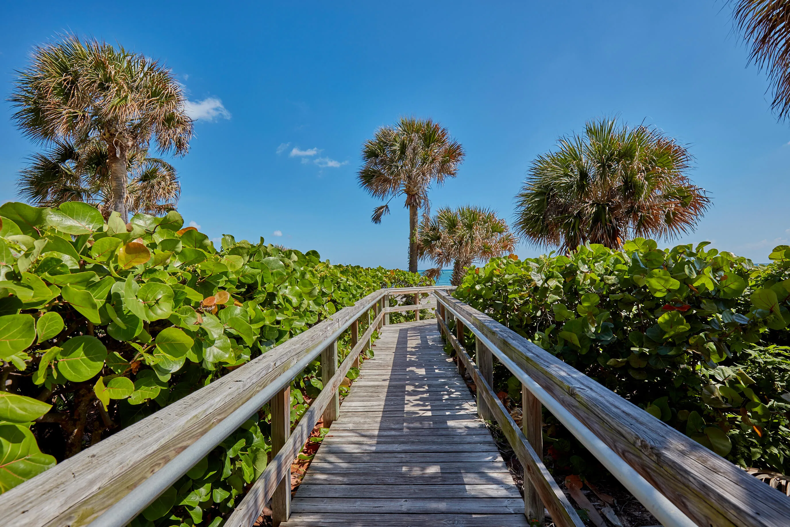Beach Walk