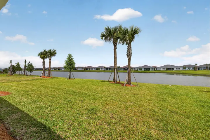 10-web-or-mls-3A5A7119