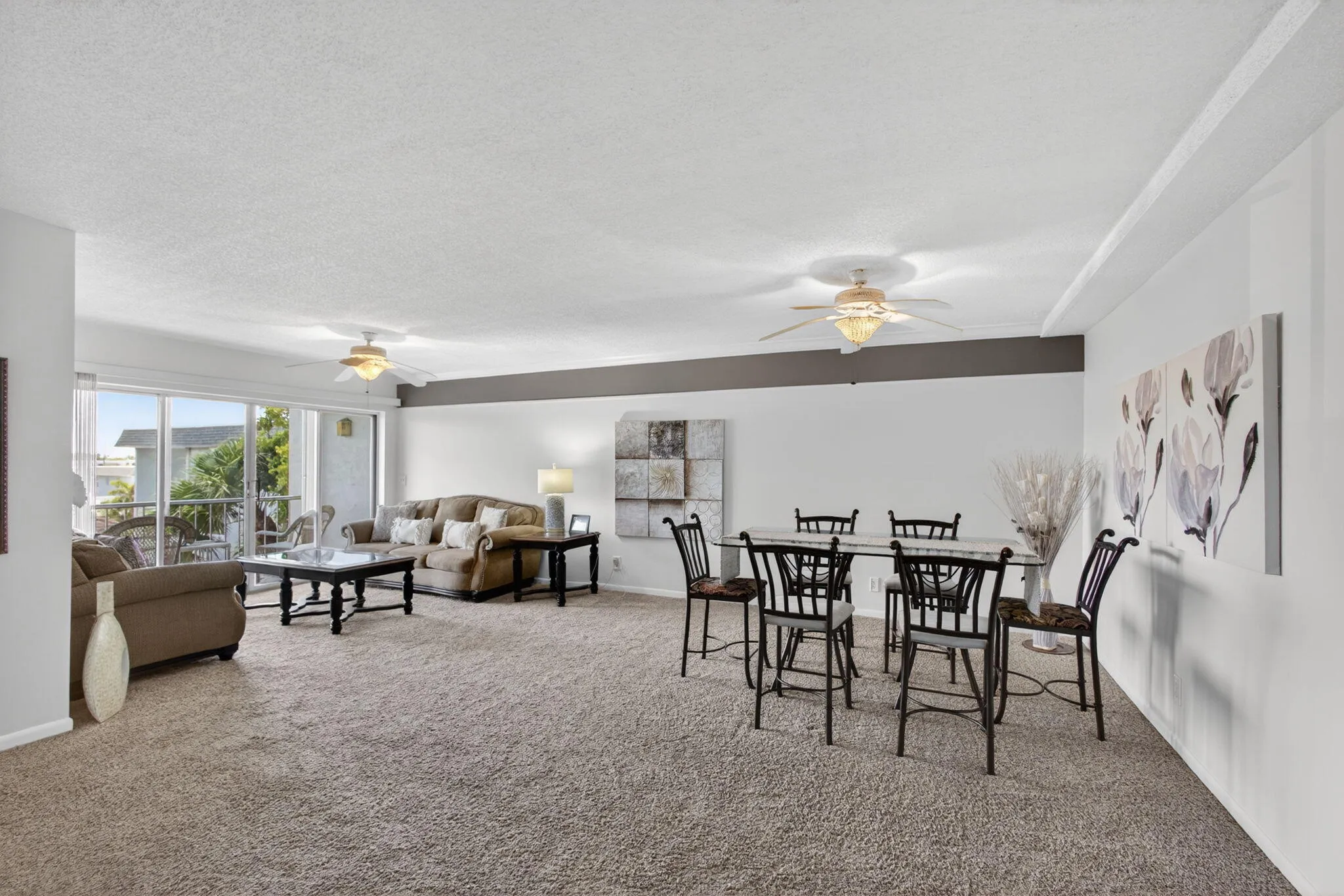 Entrance / Living and Dining Area