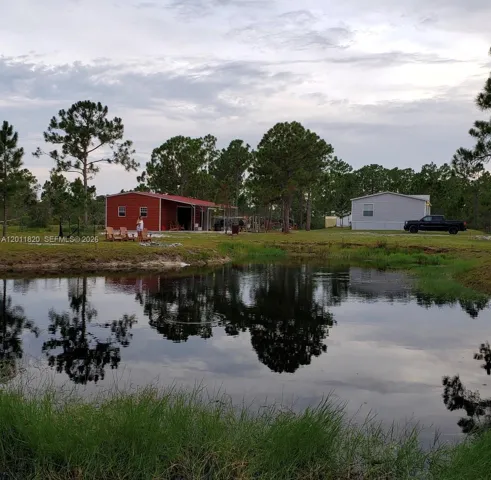 of pond
