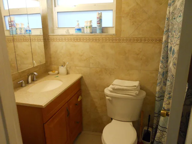 Master Bath