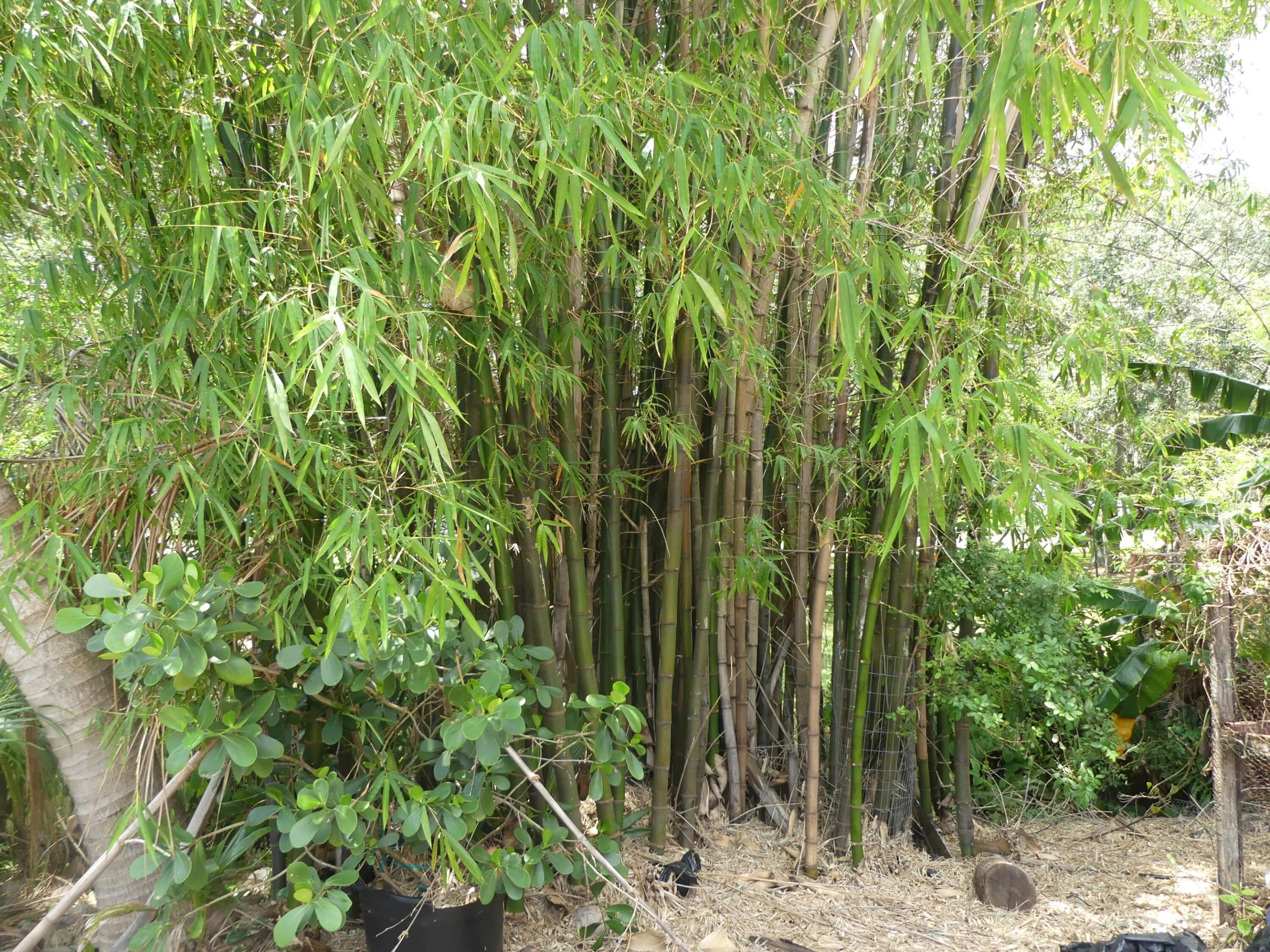 P1030715