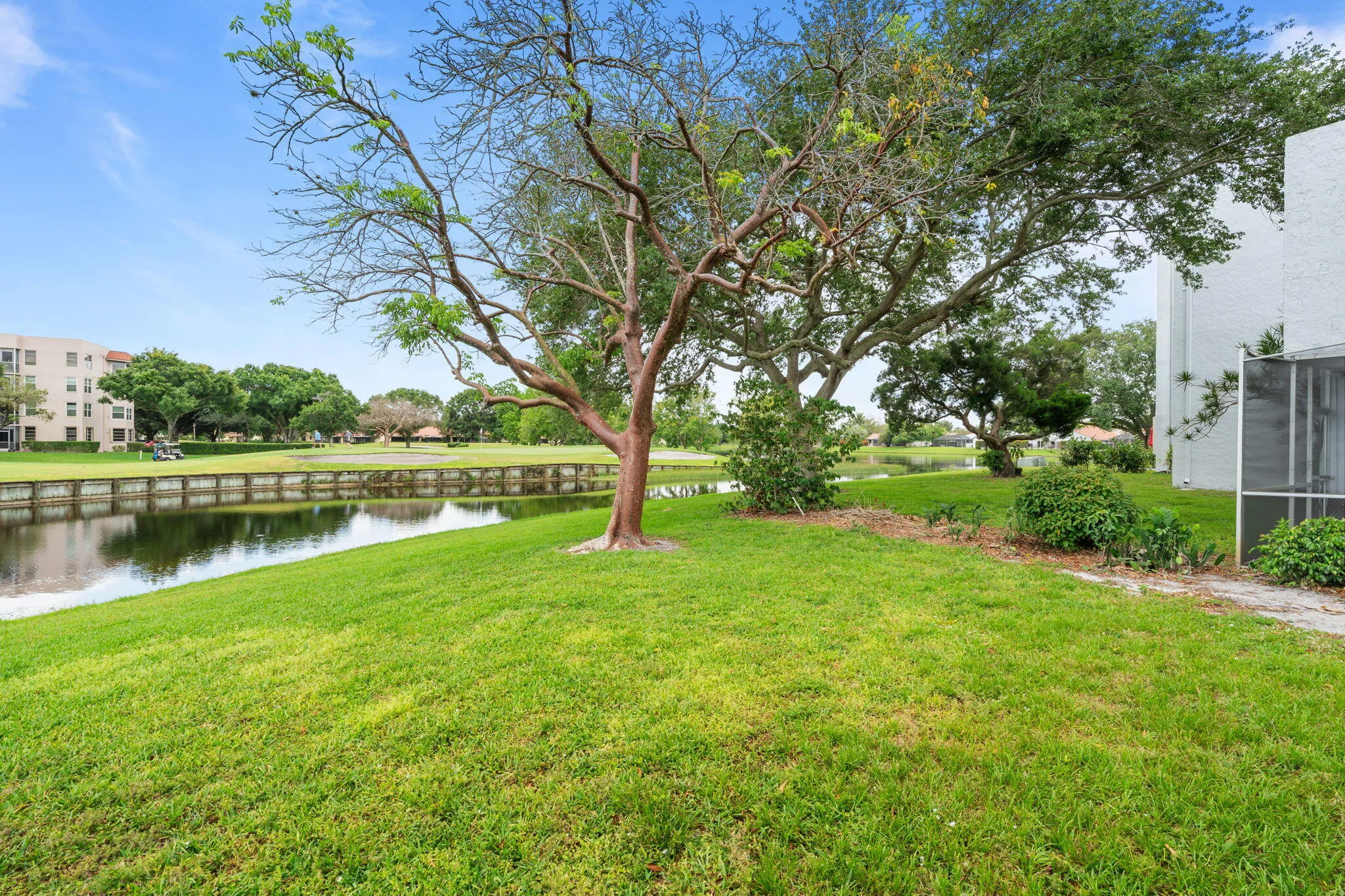 36-web-or-mls-DSC02611