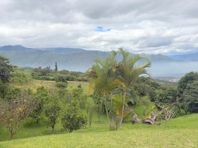 Photo 49