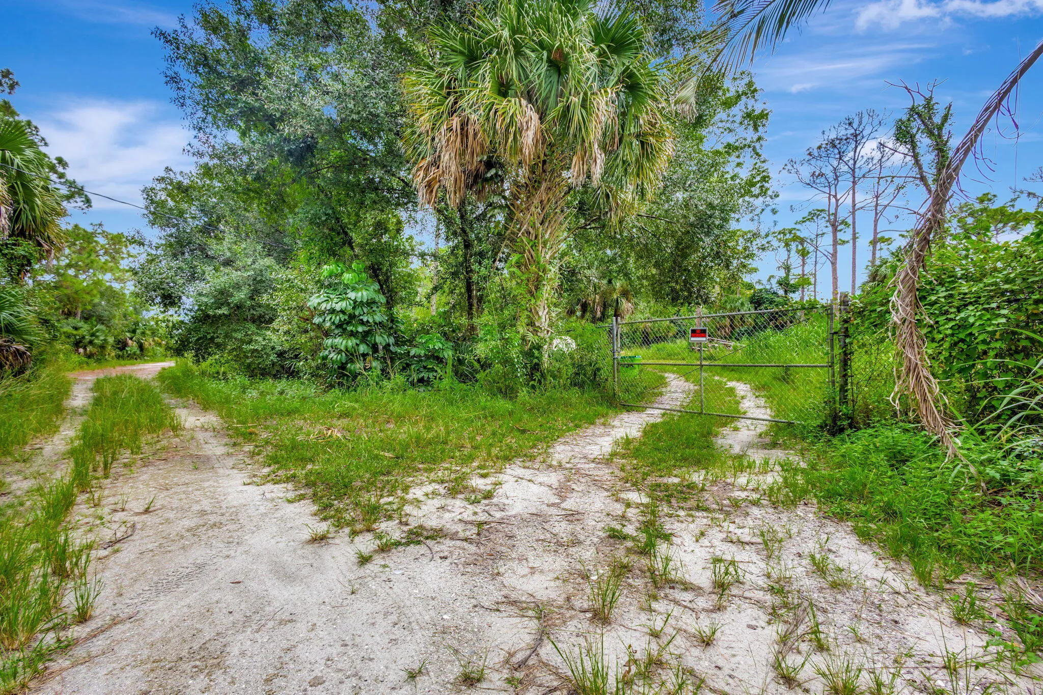 Property photo 23