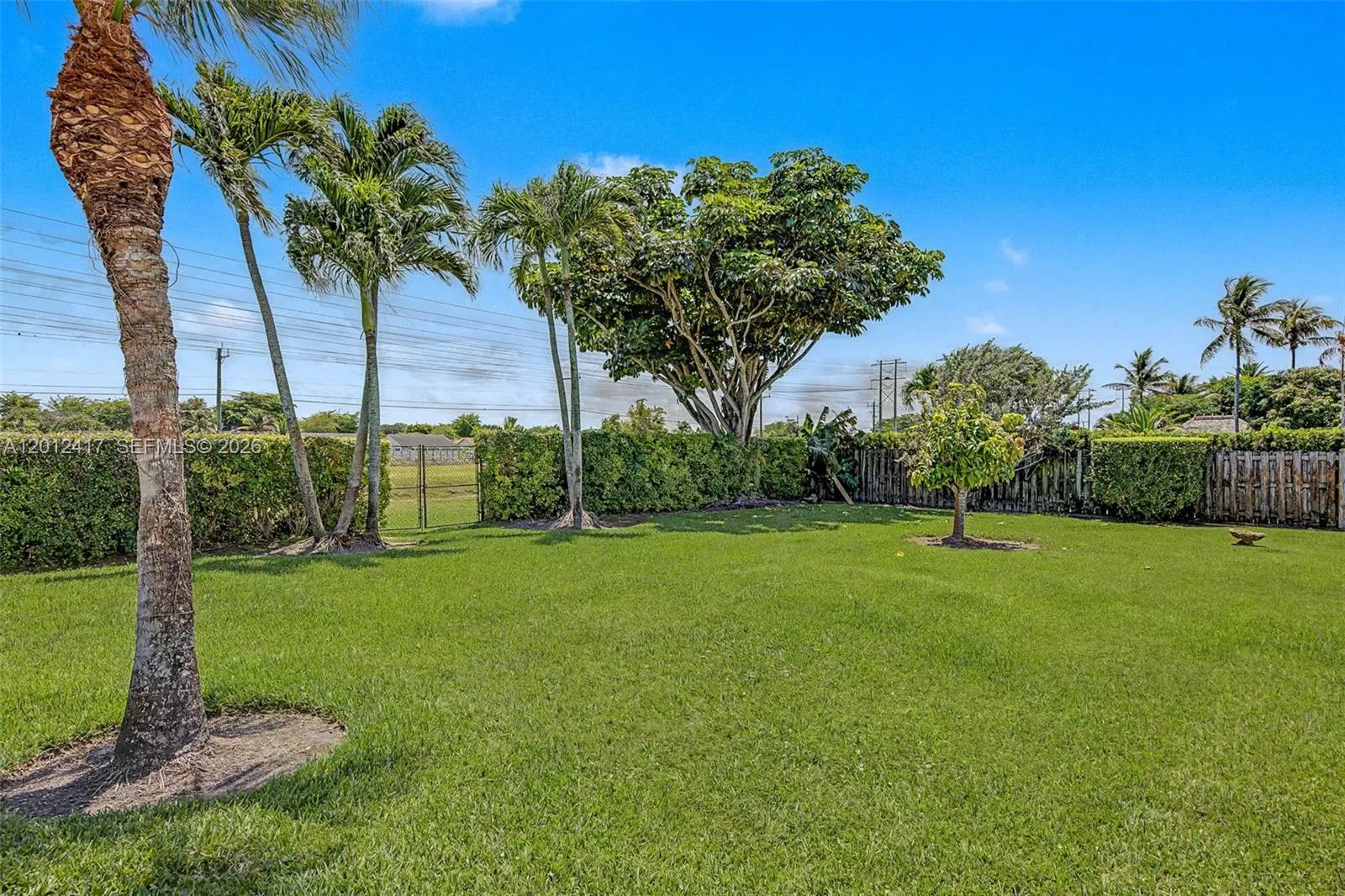 Property photo 51