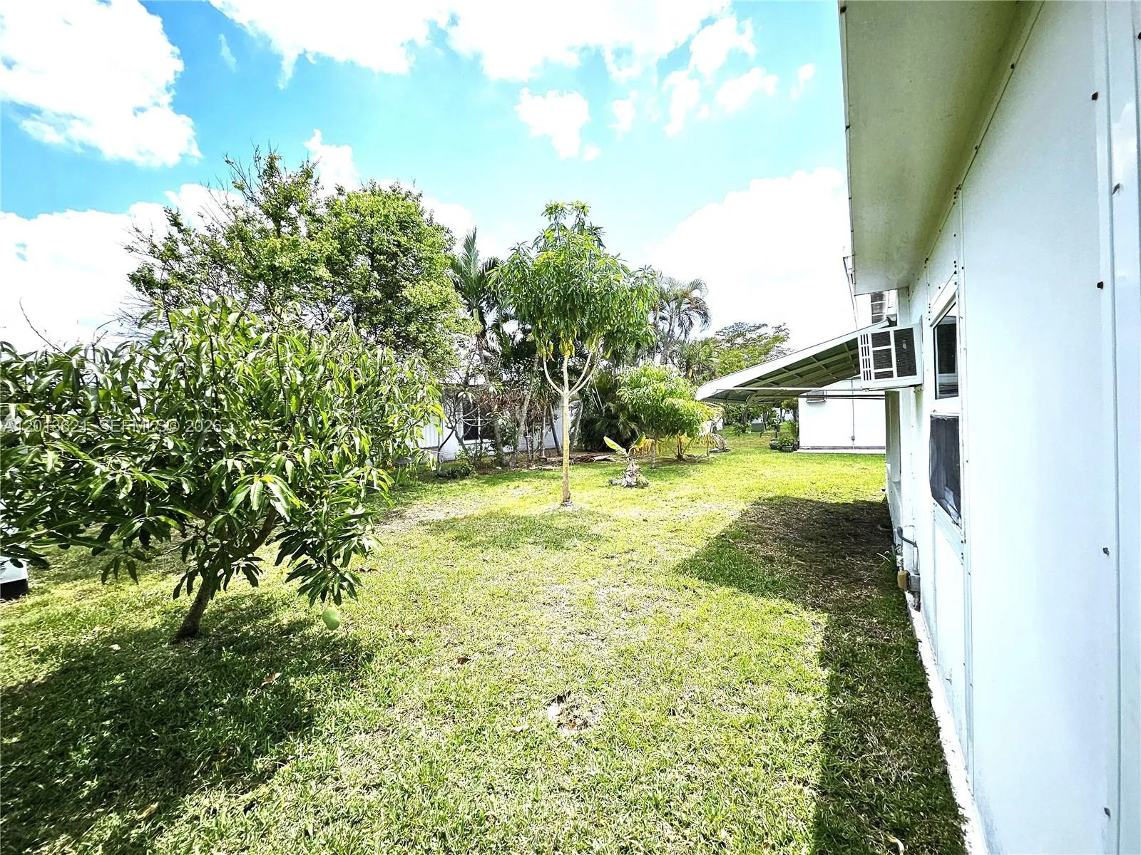 Photo 36