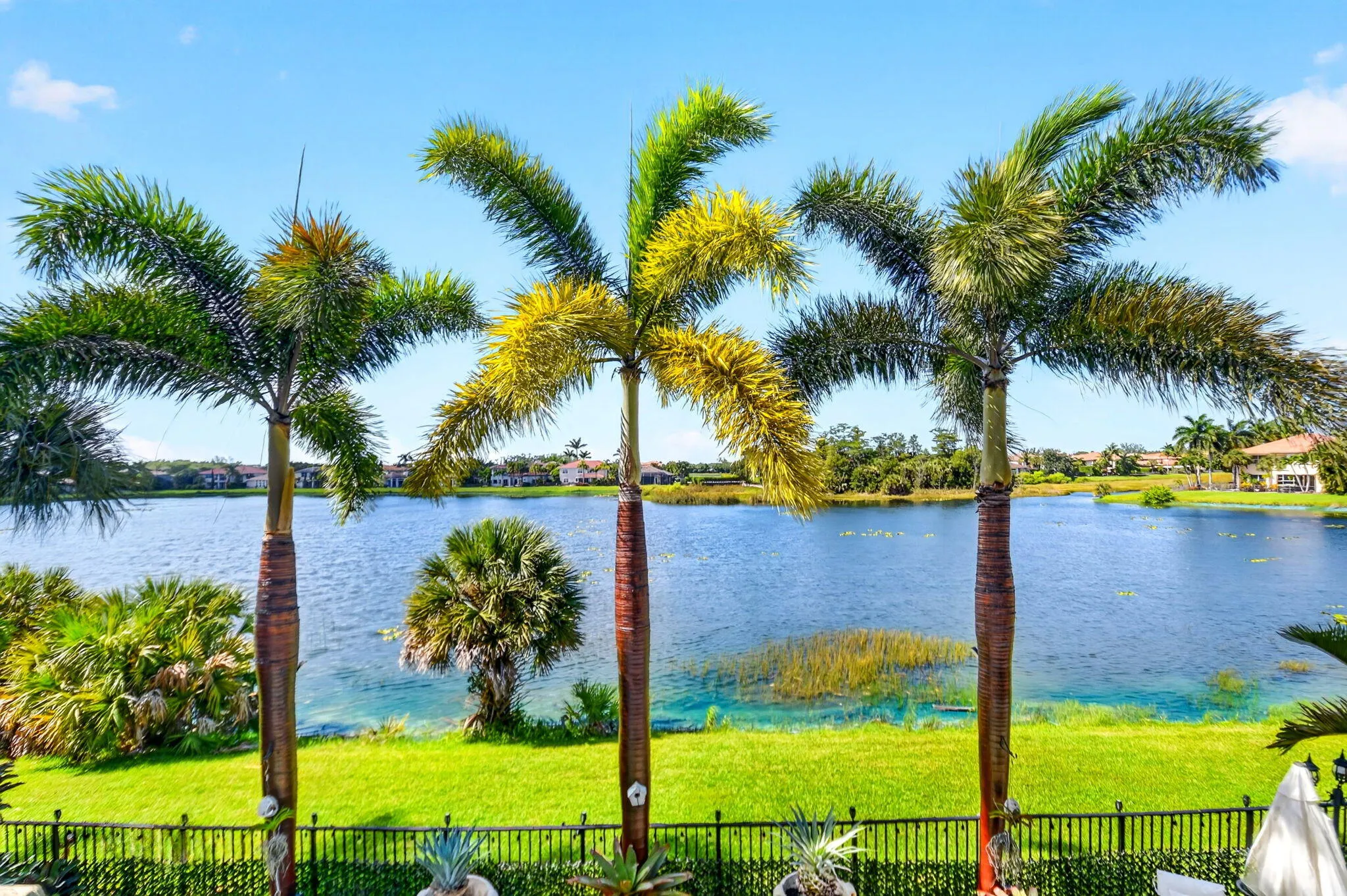 75-web-or-mls-DSC_7054