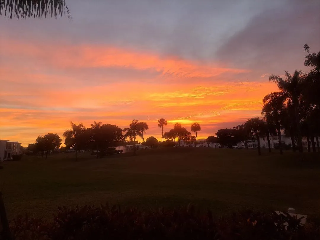 Evening Views