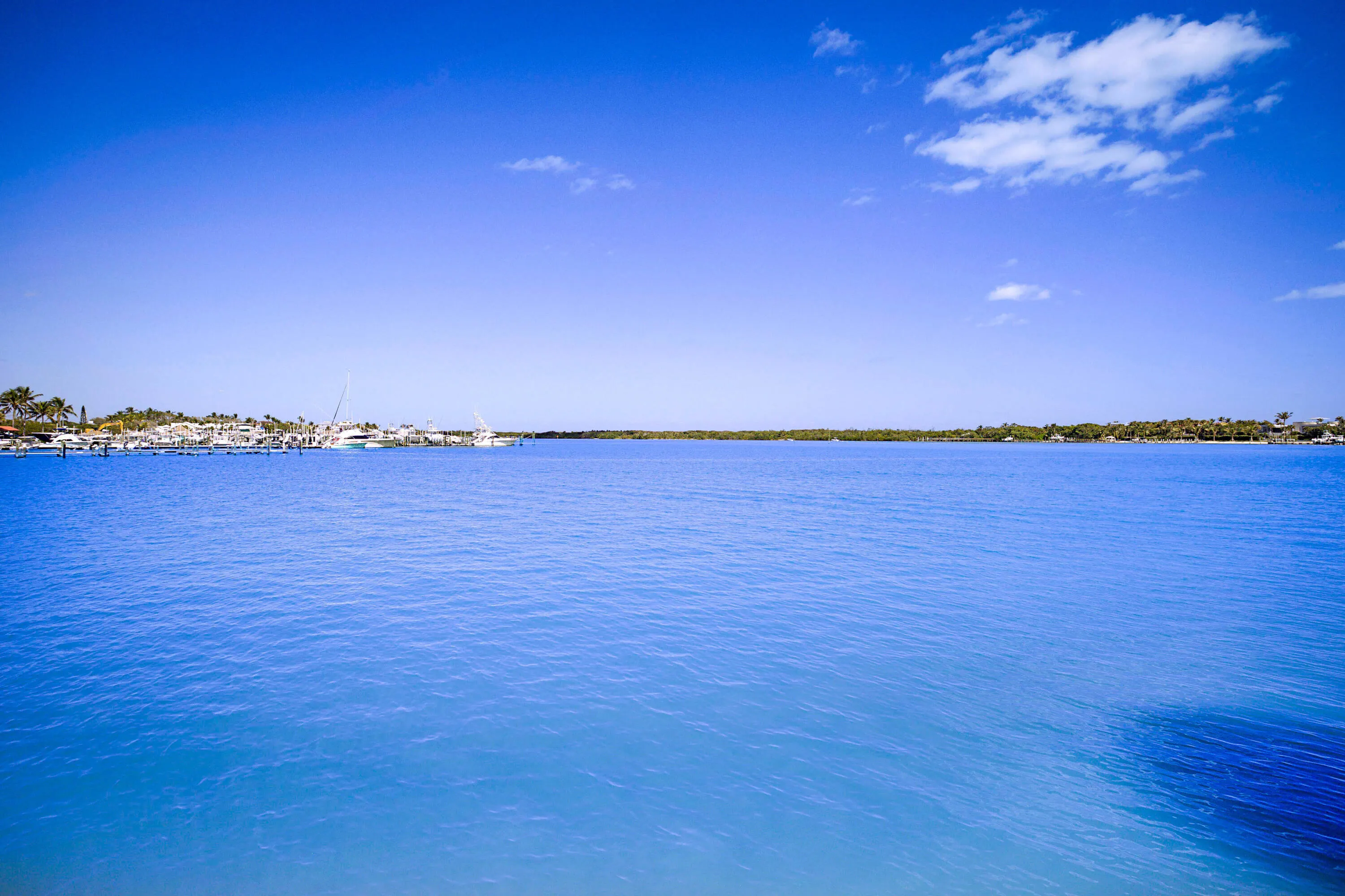 300 Intracoastal Place 101-42