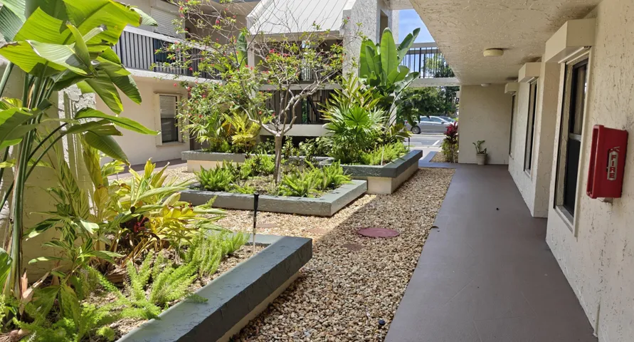 Front exterior garden courtyard