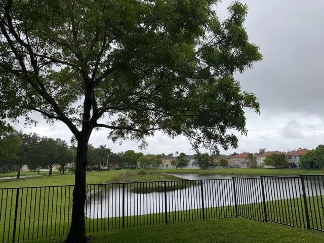 Serene Lake View