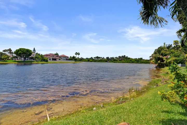Lake view from backyard