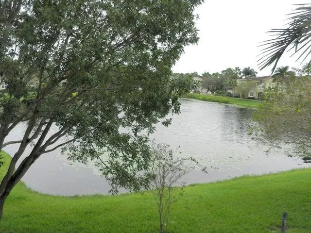 View from Balcony