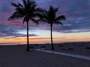 View in the evening