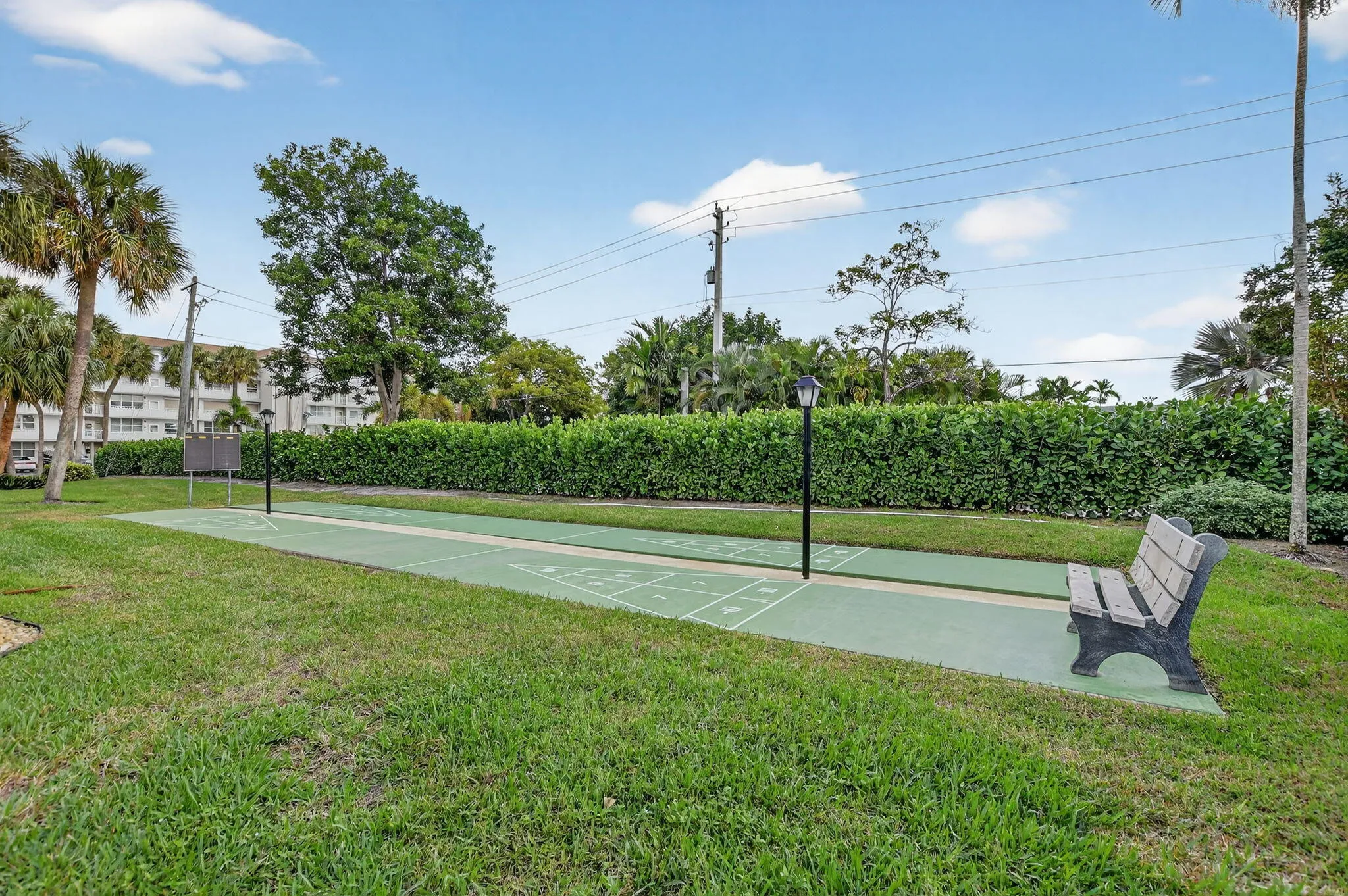 Shuffleboard
