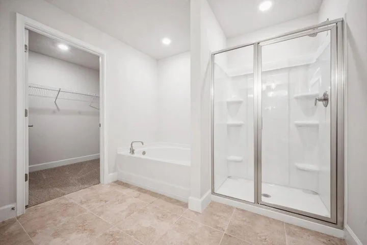 Master Bathroom and Walking Closet