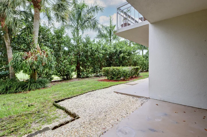 Back Patio View