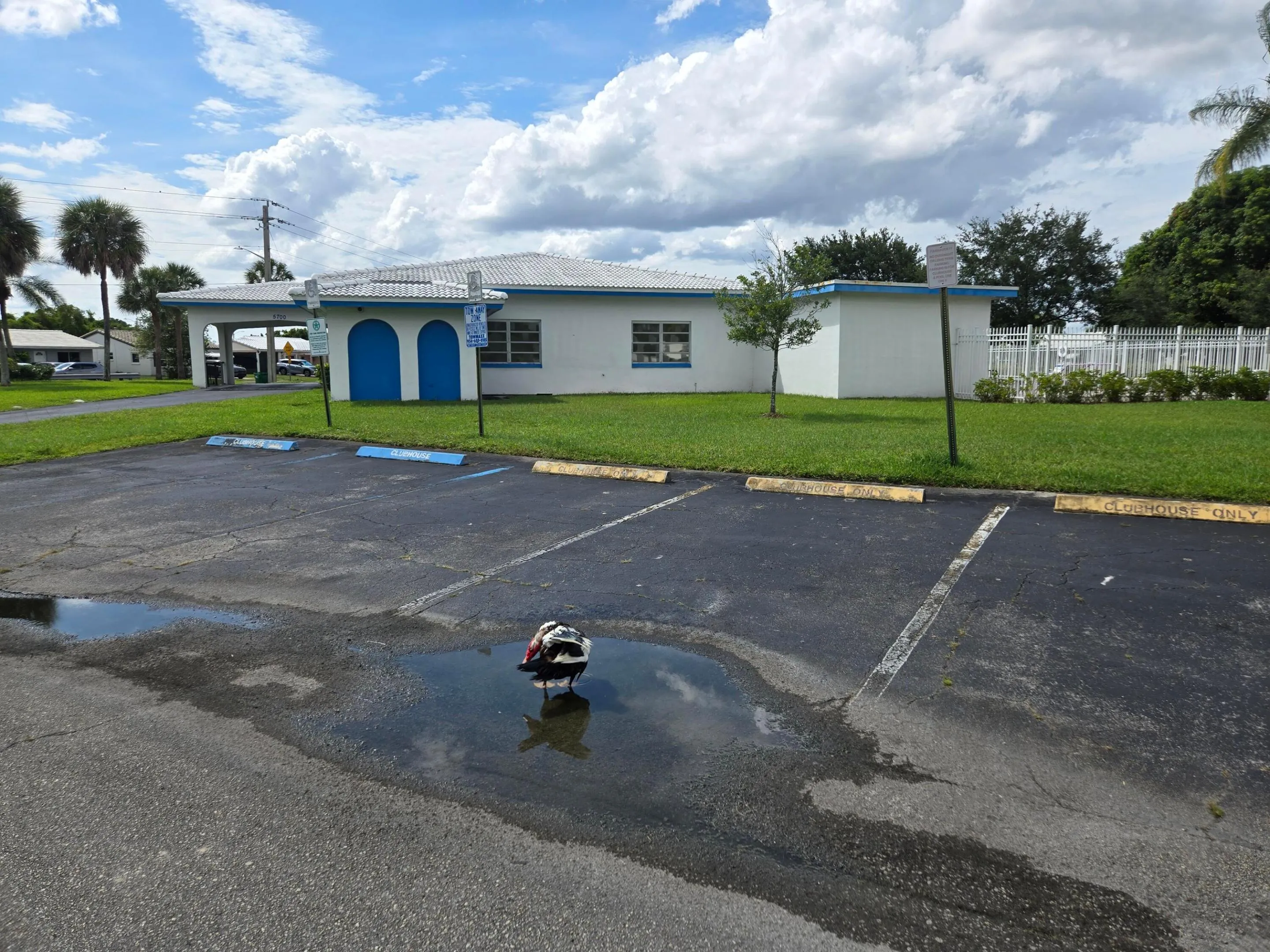 20260531_155841