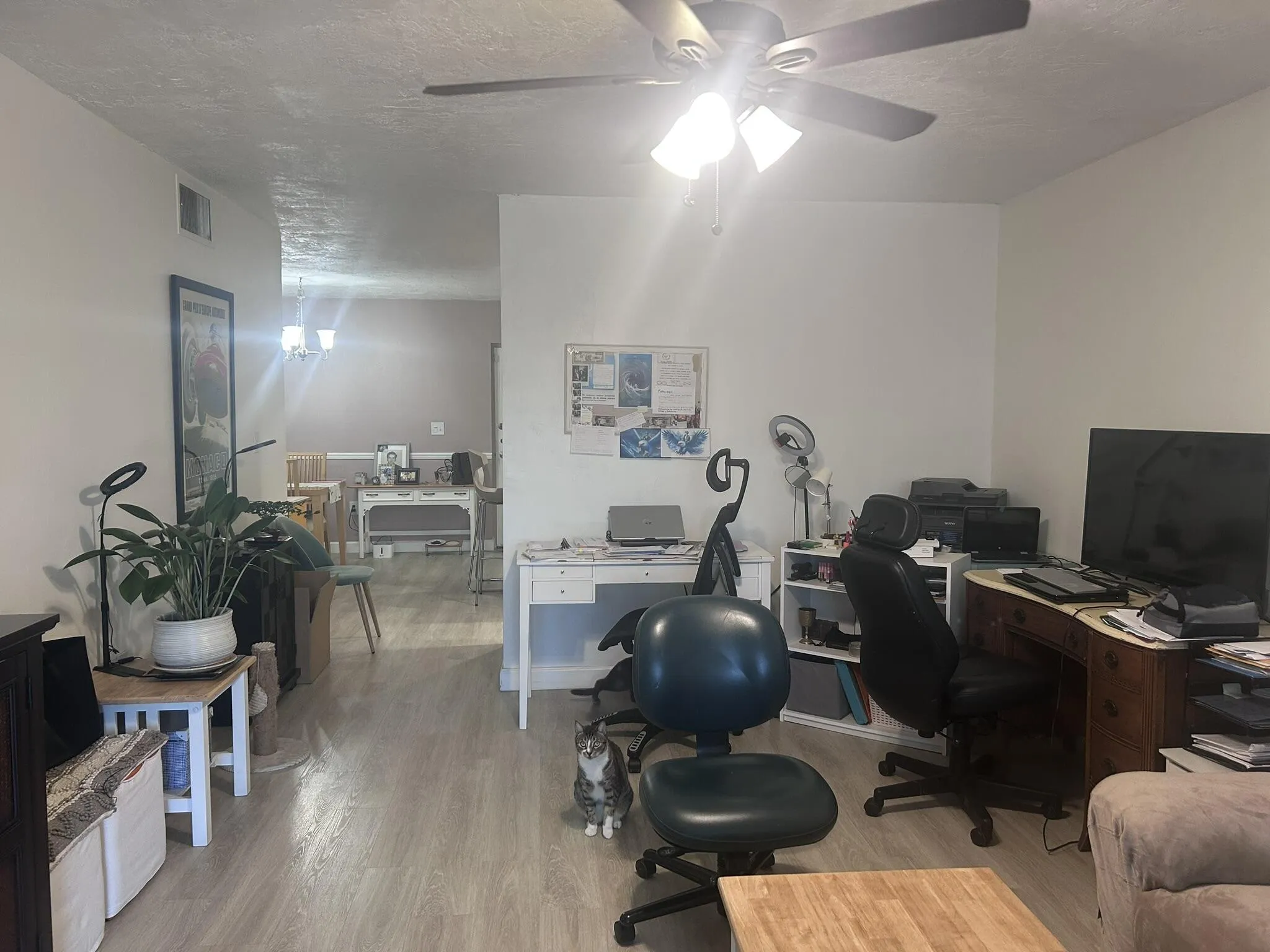 320- Living Room 1