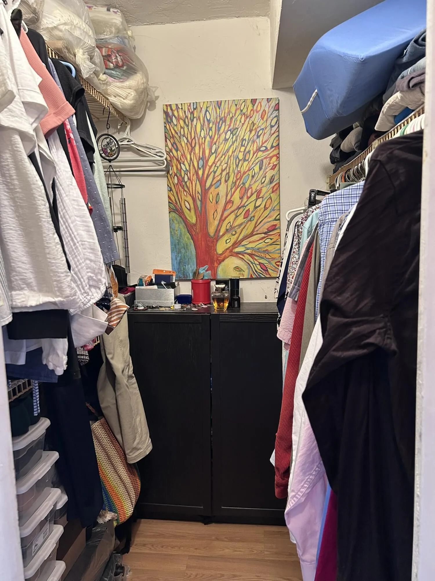 320- Walkin Closet