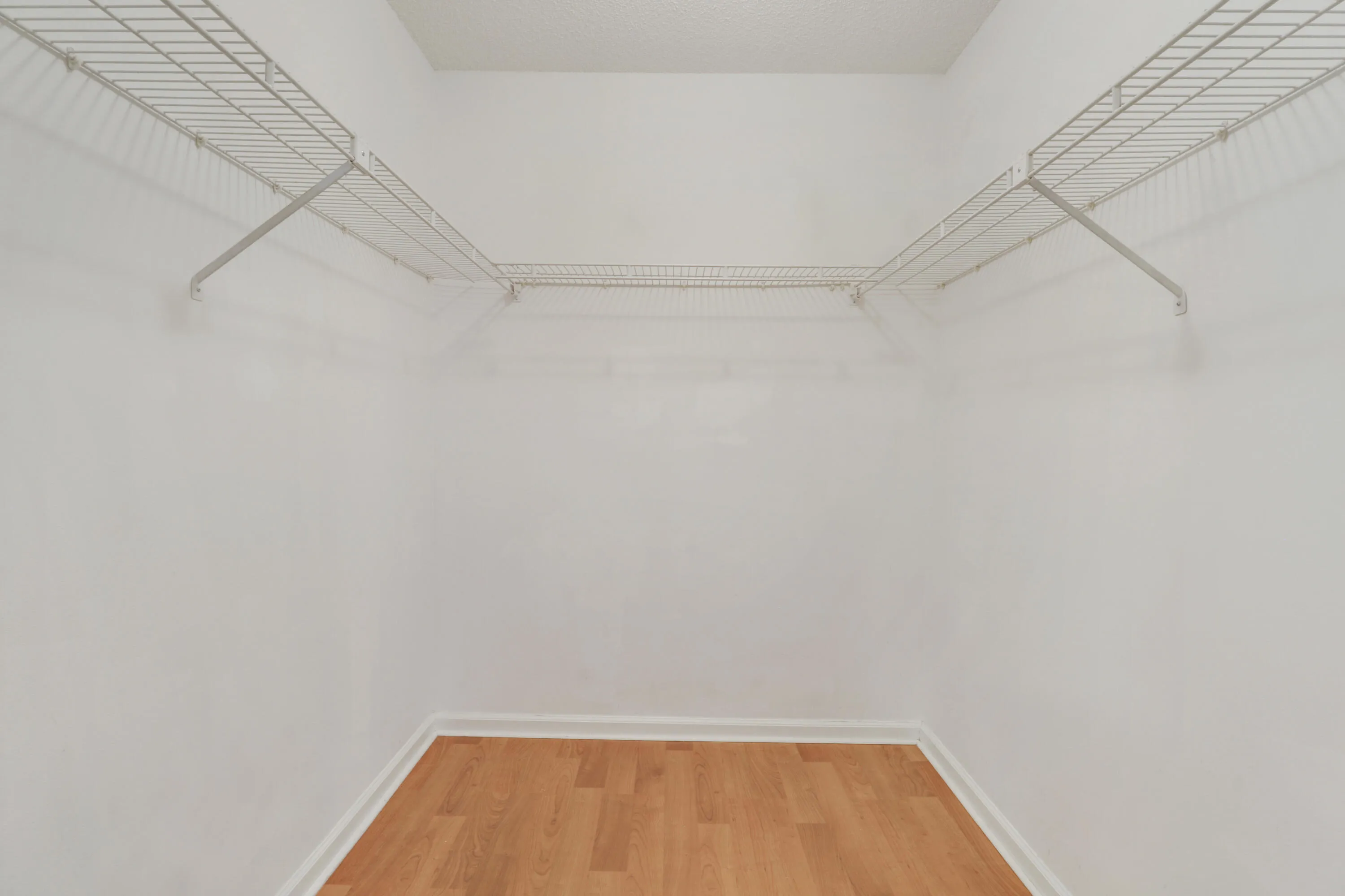 Primary Walk-in Closet