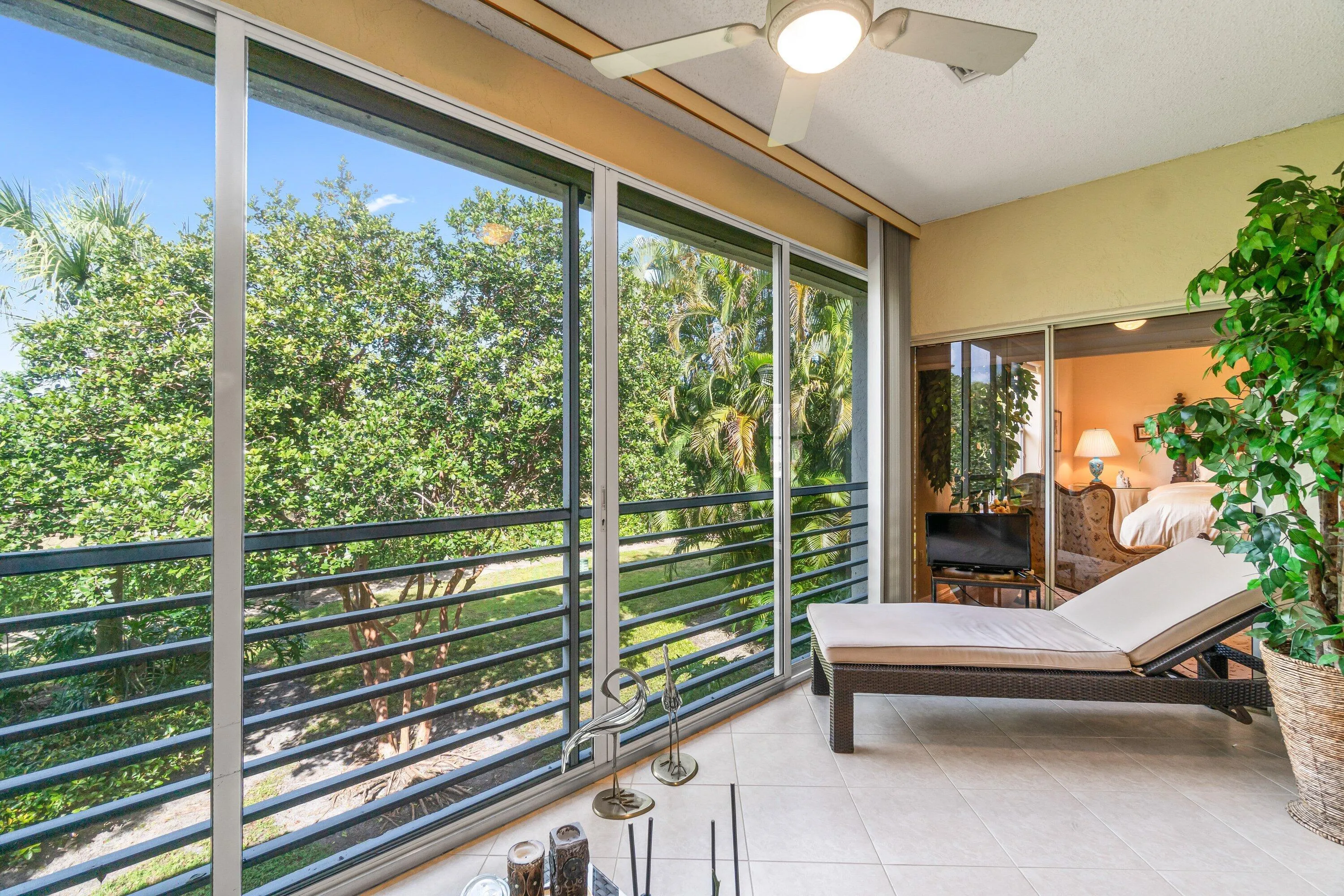 Screen Patio