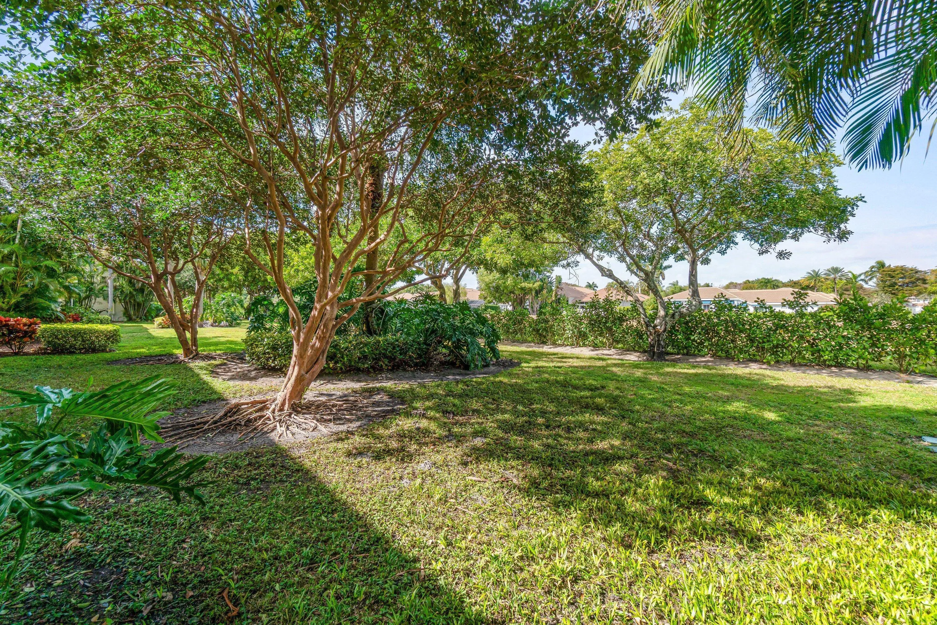 Garden view
