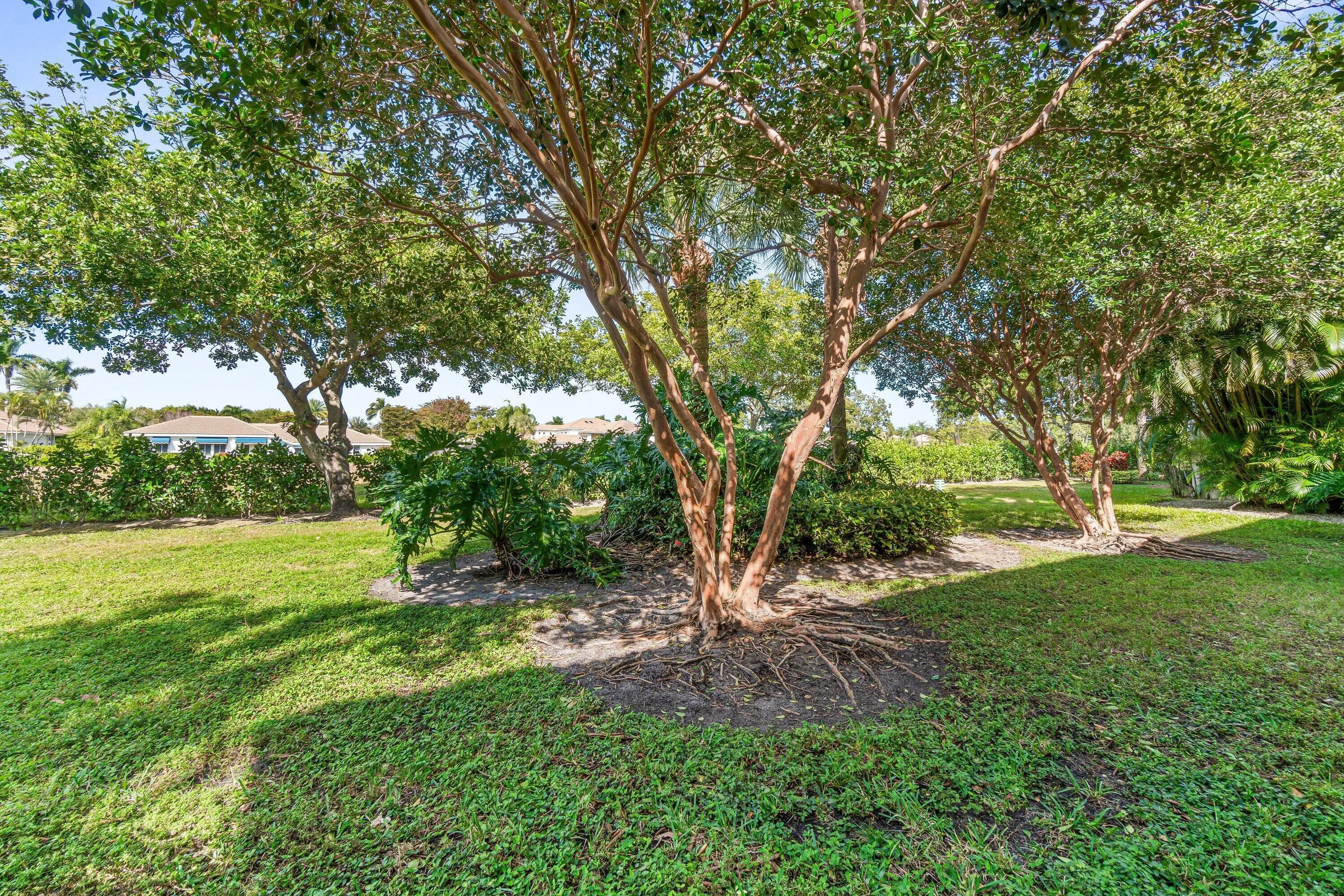 Garden view