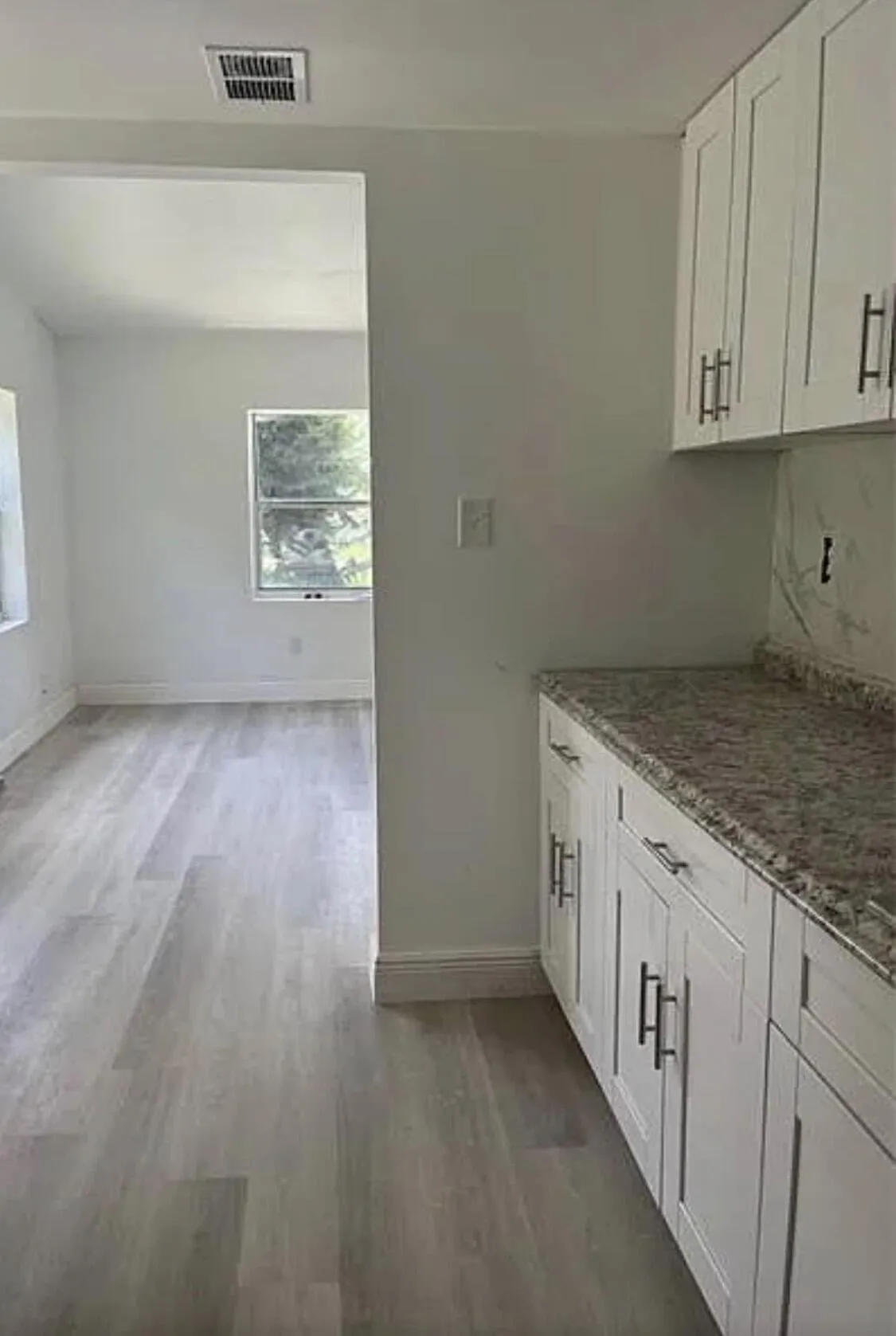 Renovated Kitchen leading to Living Area
