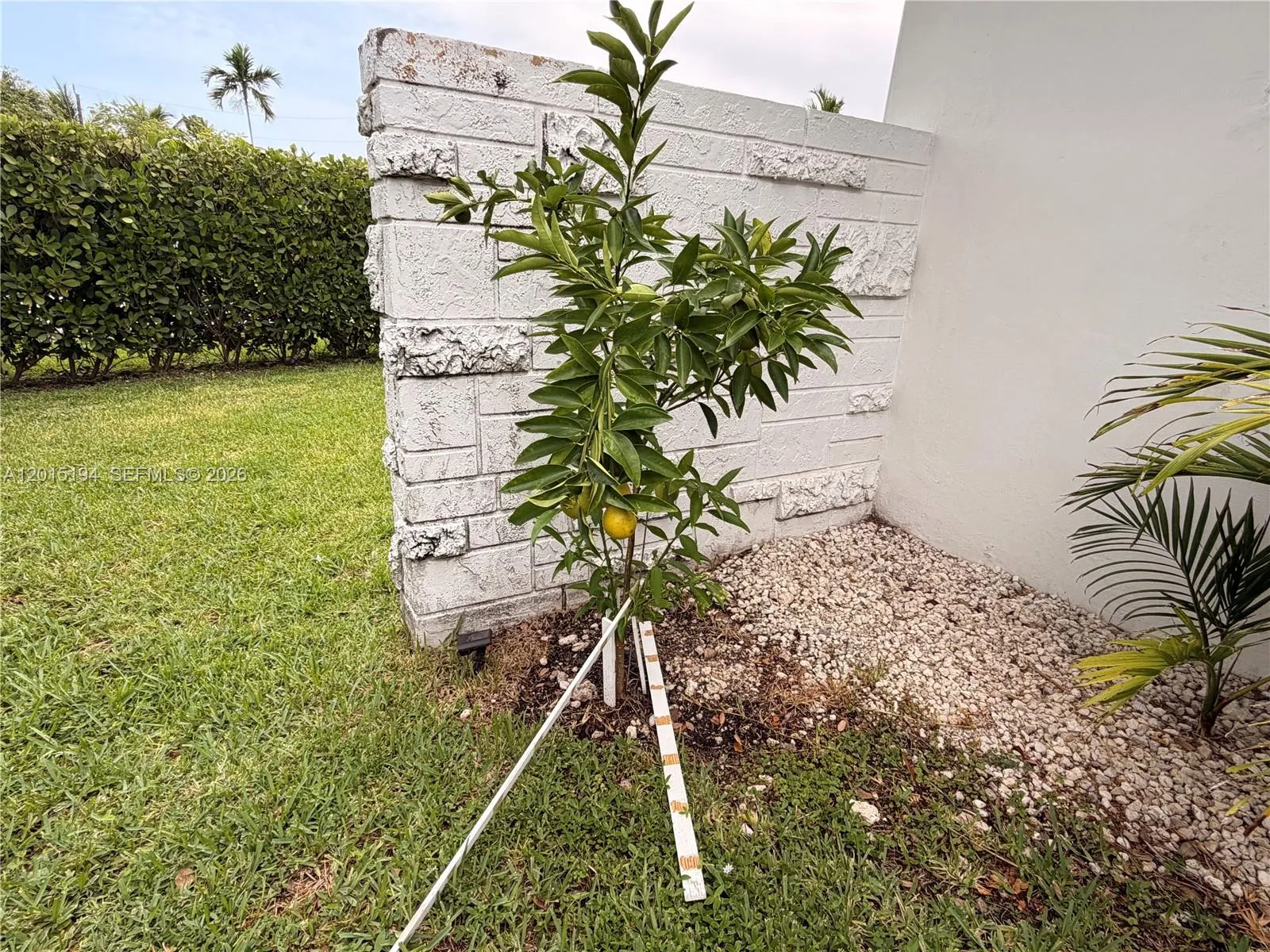 Property photo 37