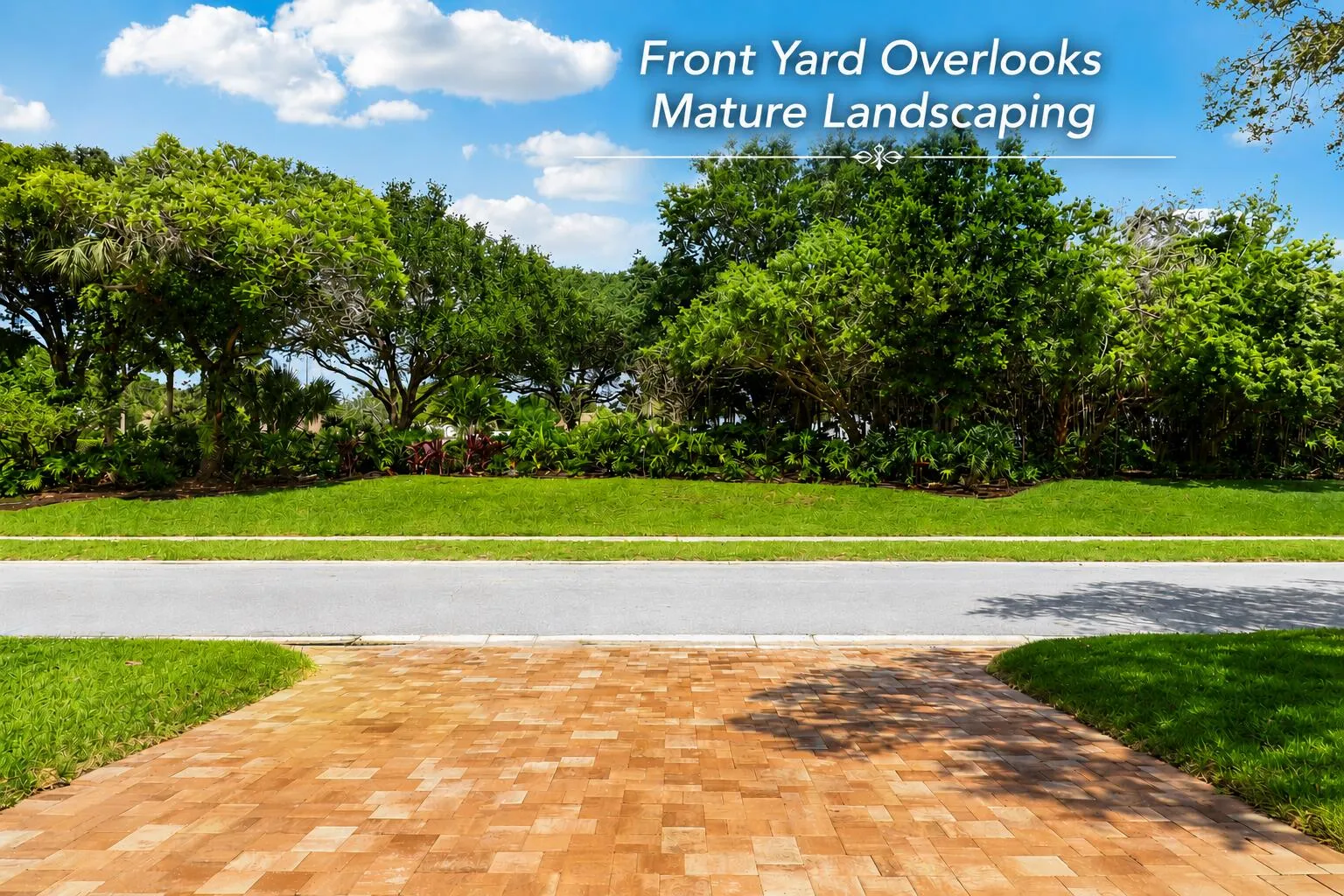 Front Yard Overlooks Mature Landscaping