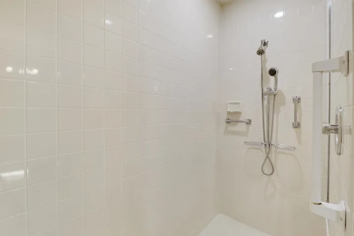 Primary Bathroom Shower