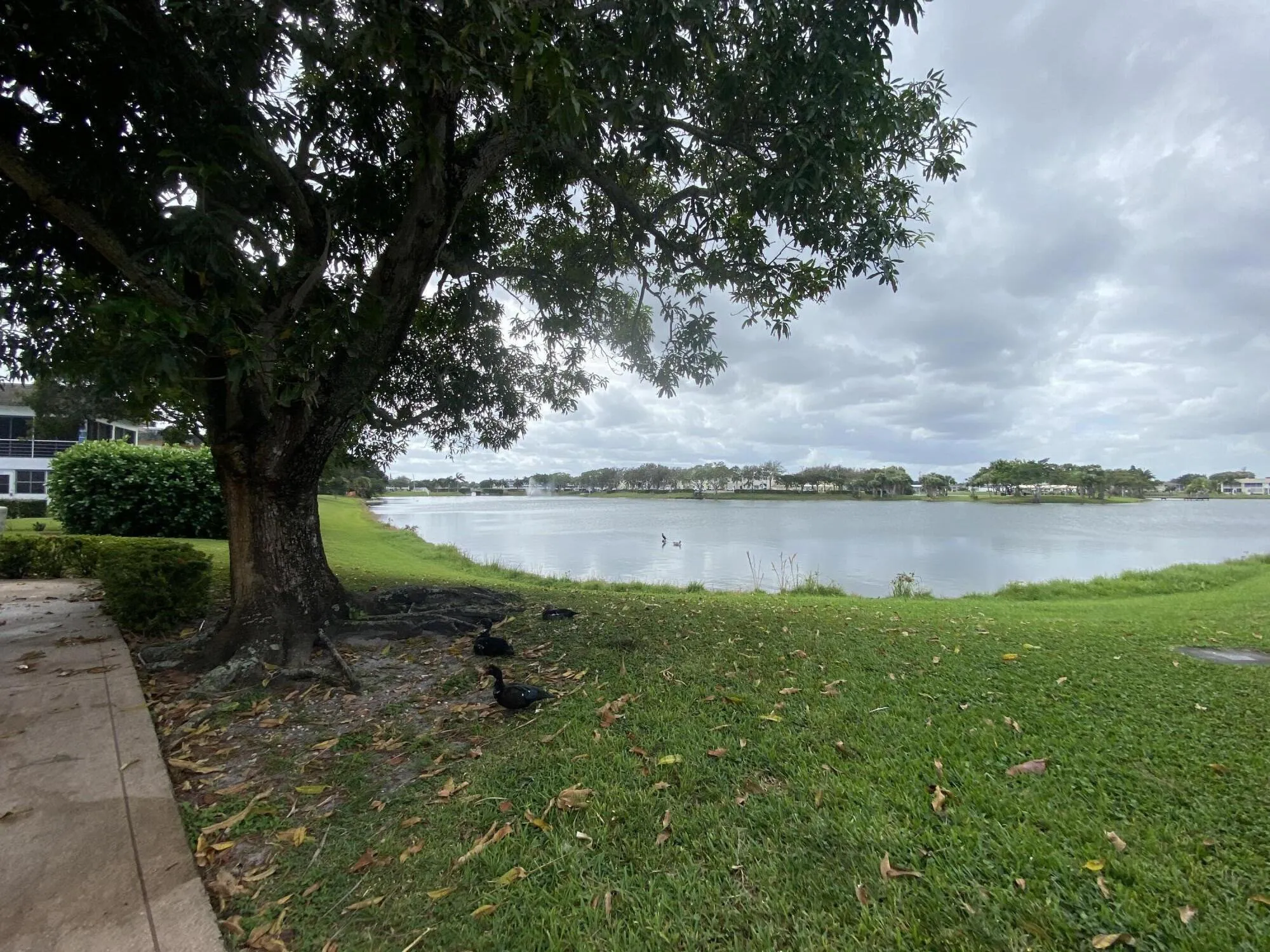 lake view