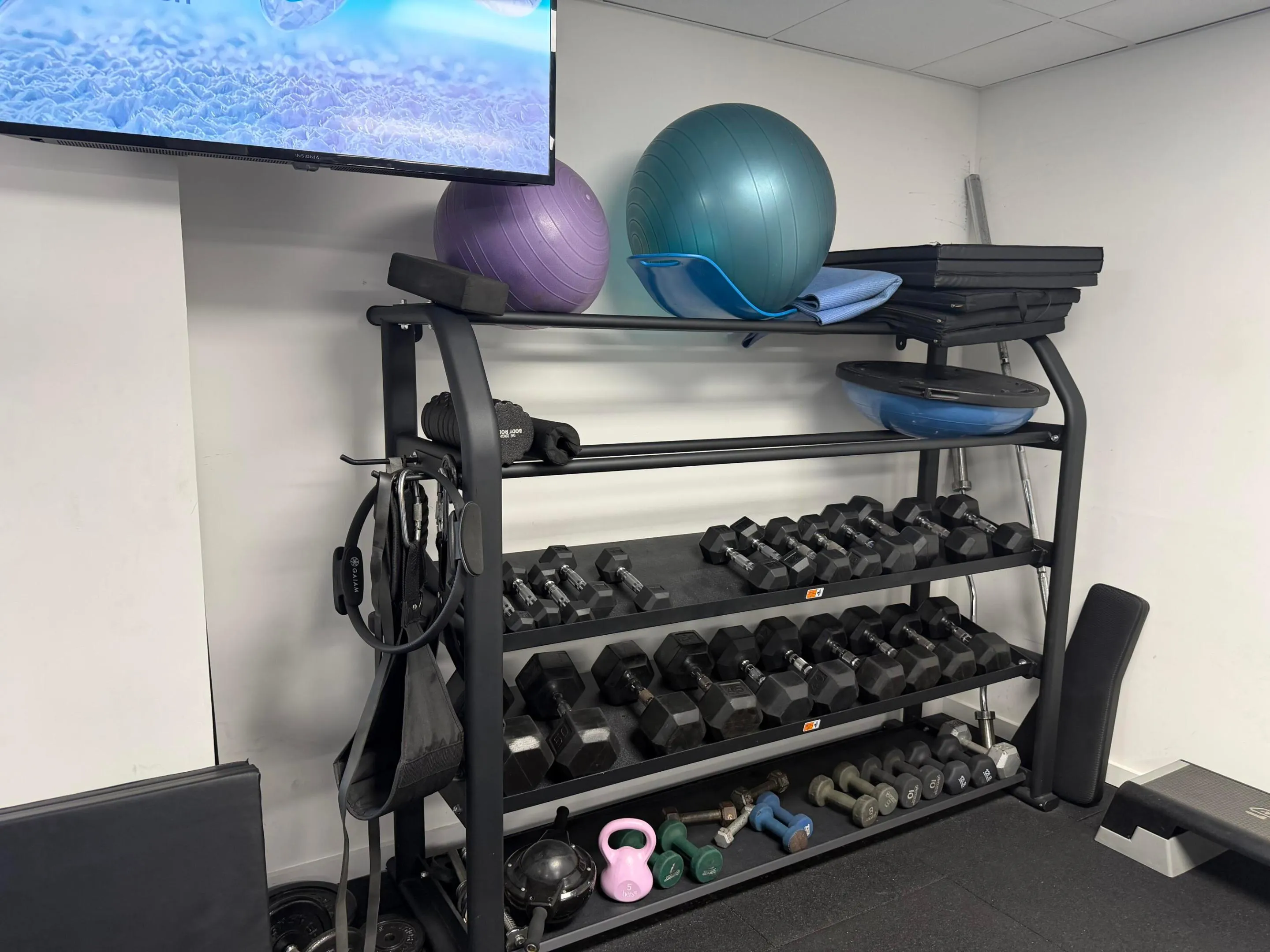 GYM